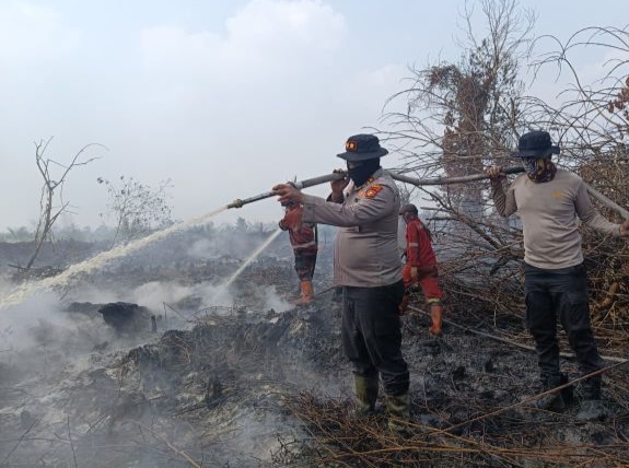 Sekat Karhutla Rimbo Panjang, Satgas Karhutla Kerahkan Alat Berat 