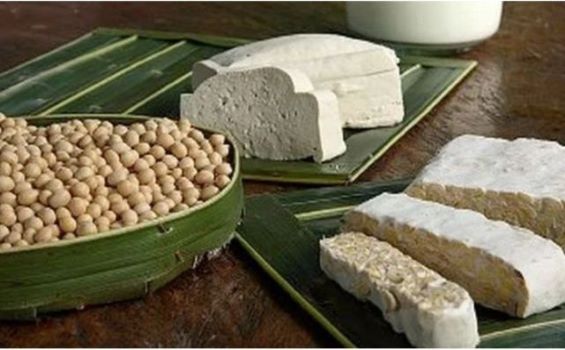 Tulang Mulai Keropos? Berikut Jenis Makanan yang Bisa Membantu Memperbaikinya