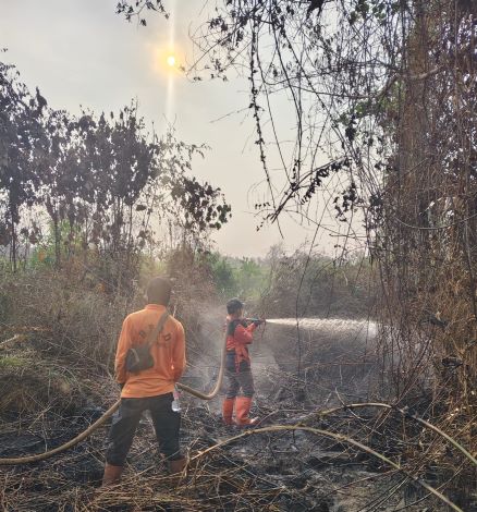 Bantuan Pusat Rp 30 M untuk Penanggulangan Karhutla di Riau Mulai Disalurkan
