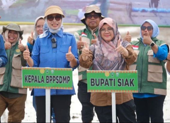  Sentra Produksi Padi, Sabak Auh Siak Dipilih Jadi Lokasi Gertam untuk Riau