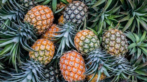 Beberapa Buah yang Tidak Disarankan Dimakan Saat Perut Kosong