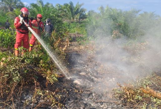 Hari Ini Terdeteksi 53 Hot Spot di Riau, Terbanyak di Bengkalis