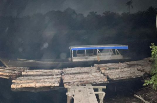 Polres Bengkalis Tangkap Tiga Pelaku Illegal Logging di Sungai Nibung