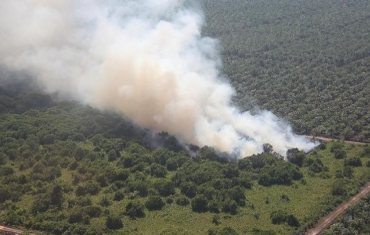 Plt Gubri: Kabut Asap Selimuti Riau, Kurangi Aktivitas di Luar Rumah 