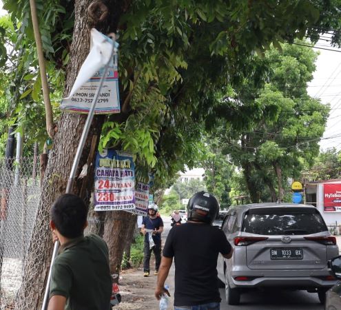 Bapenda Pekanbaru Tertibkan Spanduk dan Bongkar Iklan Liar di Pepohonan