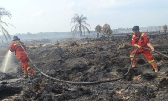 Dua Hektare Karhutla di Kubu Rohil Baru Padam, Titik Api Baru Muncul di Bangko