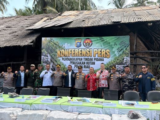 Polda Riau Bongkar Perambahan Hutan Mangrove untuk Dijadikan Arang di Rupat Utara
